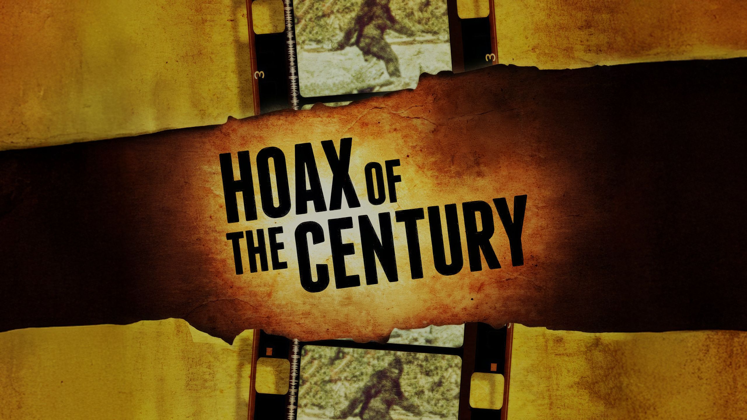 video-section-banner-image
