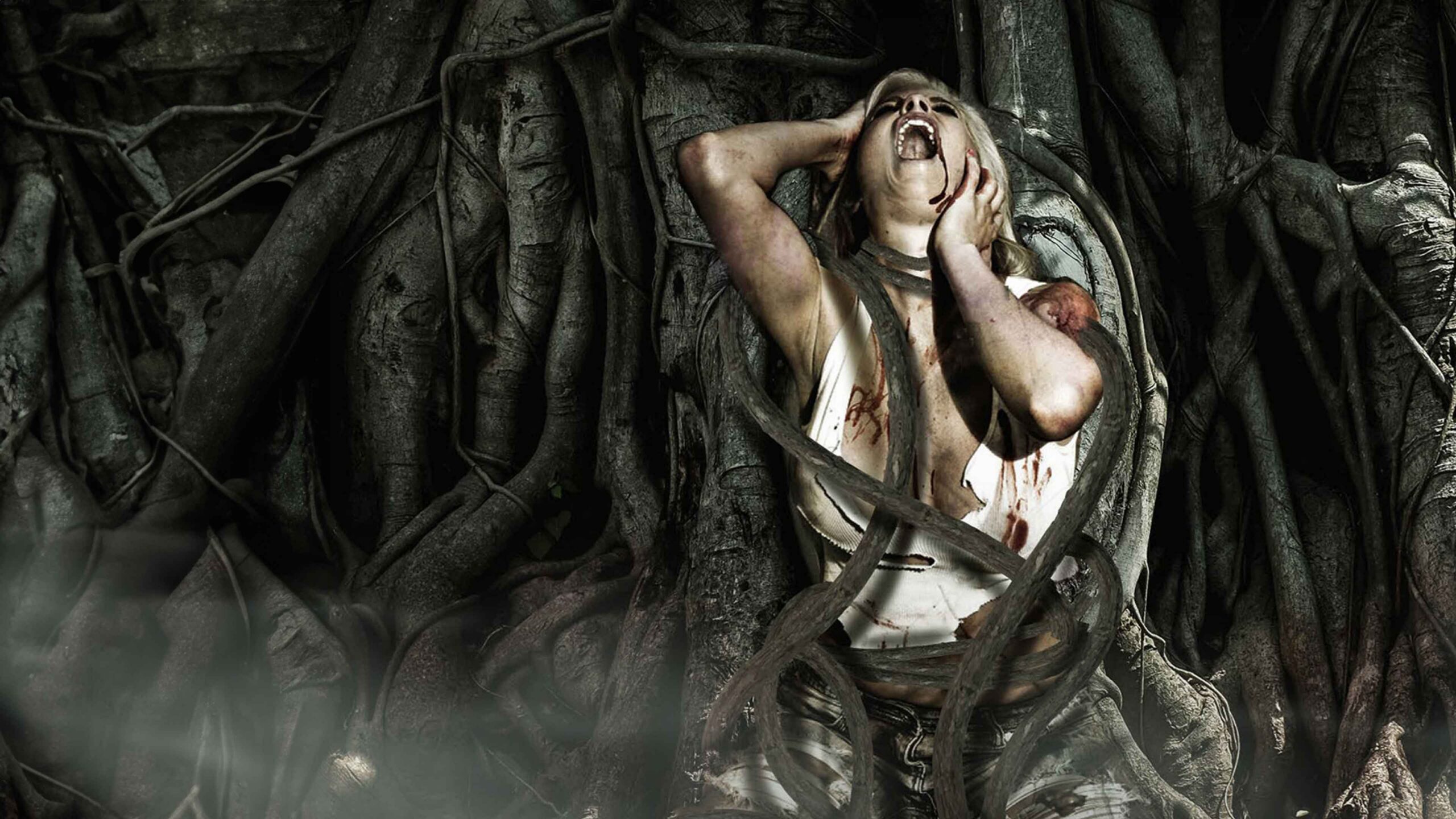 video-section-banner-image
